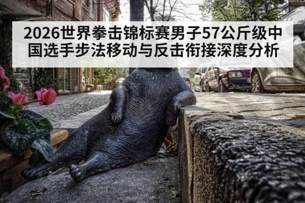 2026世界拳击锦标赛男子57公斤级中国选手步法移动与反击衔接深度分析